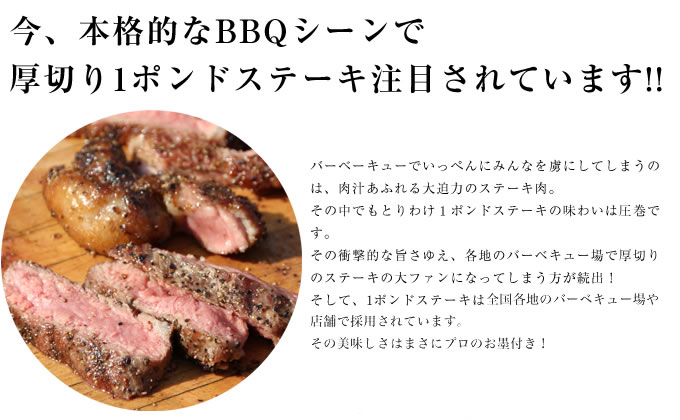 wA{iIBBQV[  ؂1|hXe[LڂĂ܂!!