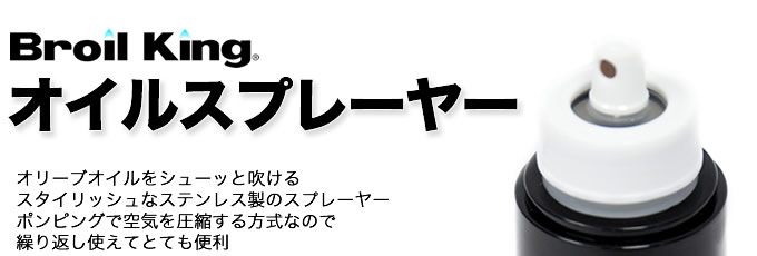 ICXv[[